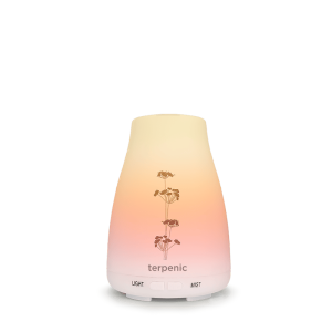 Difusor Aromaterapia Bruma